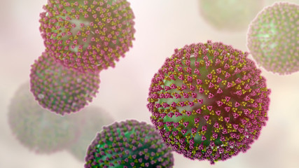 Measles viruses. 3D illustration showing structure of measles virus with surface glycoprotein spikes heamagglutinin-neuraminidase and fusion protein