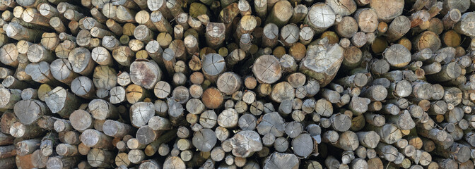wood texture abstract pattern