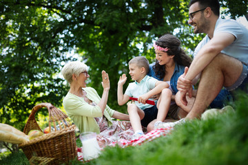 Happy family playing and enjoying picnic with children outside