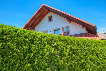 house in ecological area with green natural fence