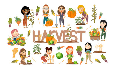 A set of cute girls harvest vegetables and cereals. Harvest cabbage, potatoes, carrots, beets, pumpkins, corn and wheat. Collection of people doing farming job. Vector illustration of kids