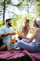 Group of friends having great time on picnic in nature