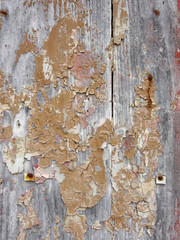 Old wooden door background with peeling paint