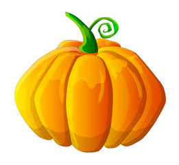 halloween pumpkin illustration, holiday