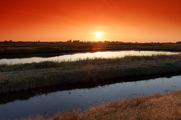 Yves swamp nature reserve in Charente Maritime coast