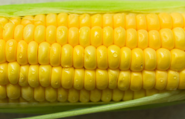Fresh yellow sweet corn close-up. For food concept.