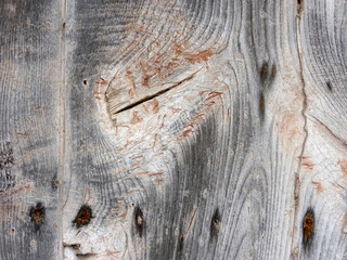 Texture of old wooden door background