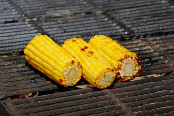 Delicious golden grilled corns on the grille