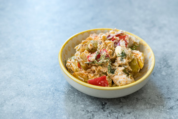 Turkish Appetizer Zucchini Salad Baba Ganoush with Yogurt, Dill and Tomatoes.