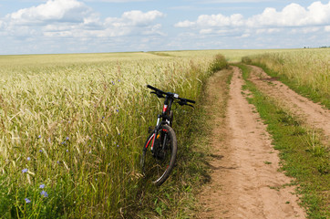 Fototapeta na wymiar country road in wheat field and bike
