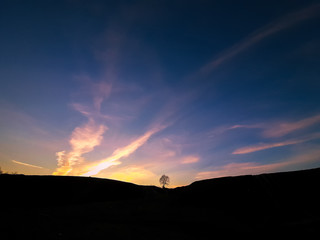A tree standing alone on the hill against the sunset sky