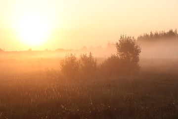 Fototapeta na wymiar misty morning sunrise in the fog