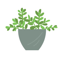 Flourishing plant in vase vector, isolated decor in container, foliage on branches, leafy flower, natural ecological decor for home and interior flat style