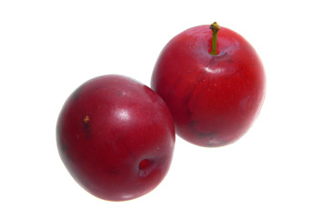 plum isolated on white background