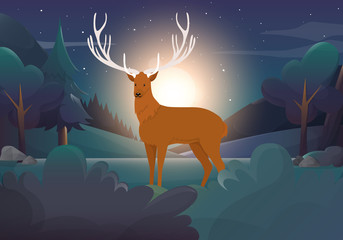 Wild Deer And The Forest At Night