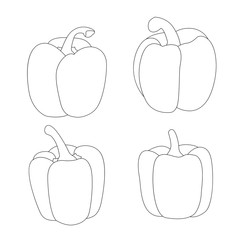Line bell pepper isolated on white background illustration vector