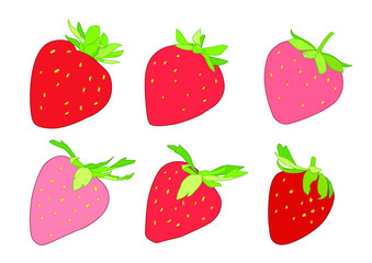 Colour red and pink Strawberry on white background illustration vector 