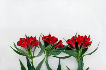 Bouquet of beautiful bright red or scarlet alstroemeria flowers on white background flat lay top view with copy space.Colorful Peruvian Lily.Minimal floral concept. Floral background