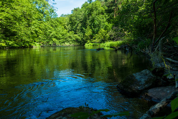Rzeka Brda woda lato wiosna kajaki spływ kajakowy bory tucholskie