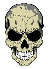 human skull, vector image, facet, pattern for tattoo