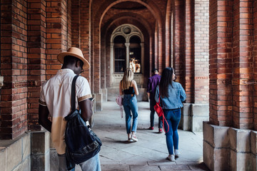 Group of successful students walking to classes near college, back view.