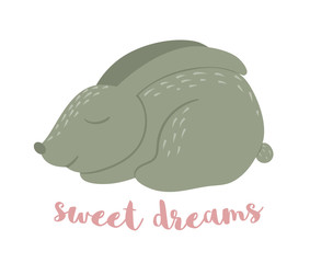 Vector cartoon style flat funny rabbit with carrot isolated on white background. Cute illustration of woodland animal. Sleeping hare icon for children’s design..