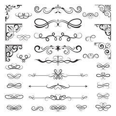 Vintage calligraphic borders. Floral dividers and corners for decoration designs ornate vector elements. Illustration of floral, vintage divider and border for book page - obrazy, fototapety, plakaty