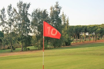 golf course with trees