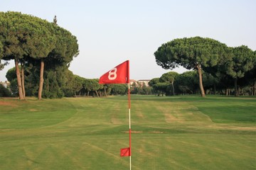 golf course with trees