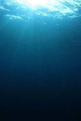 Fototapeta na wymiar Underwater blue background vertical 