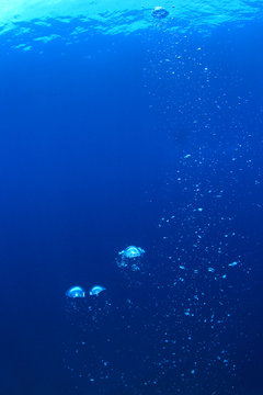 Air bubbles in blue water 