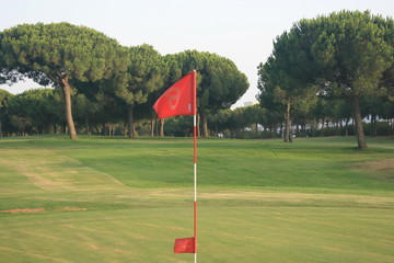 Obraz premium Golf course with trees