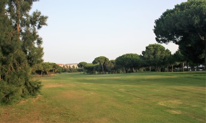 Fototapeta na wymiar Golf course with trees