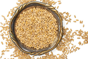 Lot of whole raw fresh beige dinkel wheat grain in old iron bowl flatlay isolated on white background