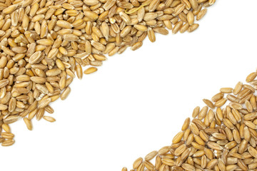 Lot of whole fresh beige dinkel wheat grain copyspace in the middle flatlay isolated on white background