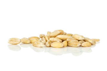 Lot of whole fresh beige dinkel wheat grain heap isolated on white background