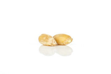 Fototapeta na wymiar Group of two whole raw fresh beige dinkel wheat grain macro isolated on white background
