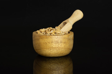 Lot of whole natural fresh beige dinkel wheat grain in a wooden bowl with wooden scoop isolated on black glass