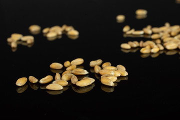 Lot of whole fresh beige dinkel wheat grain isolated on black glass