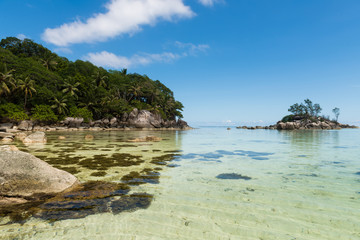 Seychelles coast view of rocks and seaweed