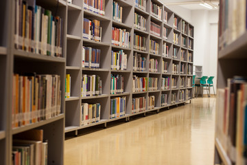 Blurred background. Library, books. Close-up.