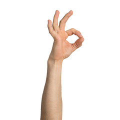Adult man hand showing Okay gesture