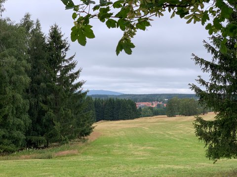 Bergwiese mit Blick auf Benneckenstein - Harz