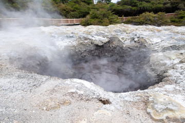 geothermal activity at Rotorua in New Zealand