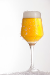 Fresh beer in cold glass over frost