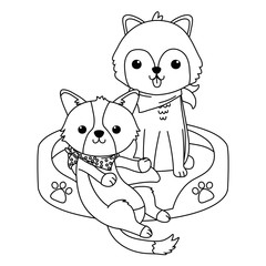 Isolated dogs cartoons design