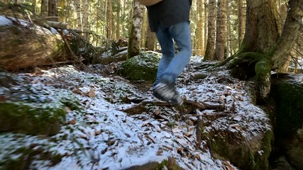 Tracking camera Low wide angle rear view of a male traveler with a backpack walking along a path in a coniferous forest in winter. The concept of finding your way and travel. prores 422
