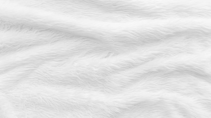 Fur background with white soft fluffy furry texture hair cloth of sheepskin for blanket and carpet interior decoration