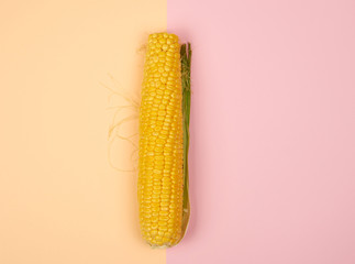 one ripe yellow corn cob, top view