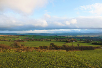 green field and cloudy sky